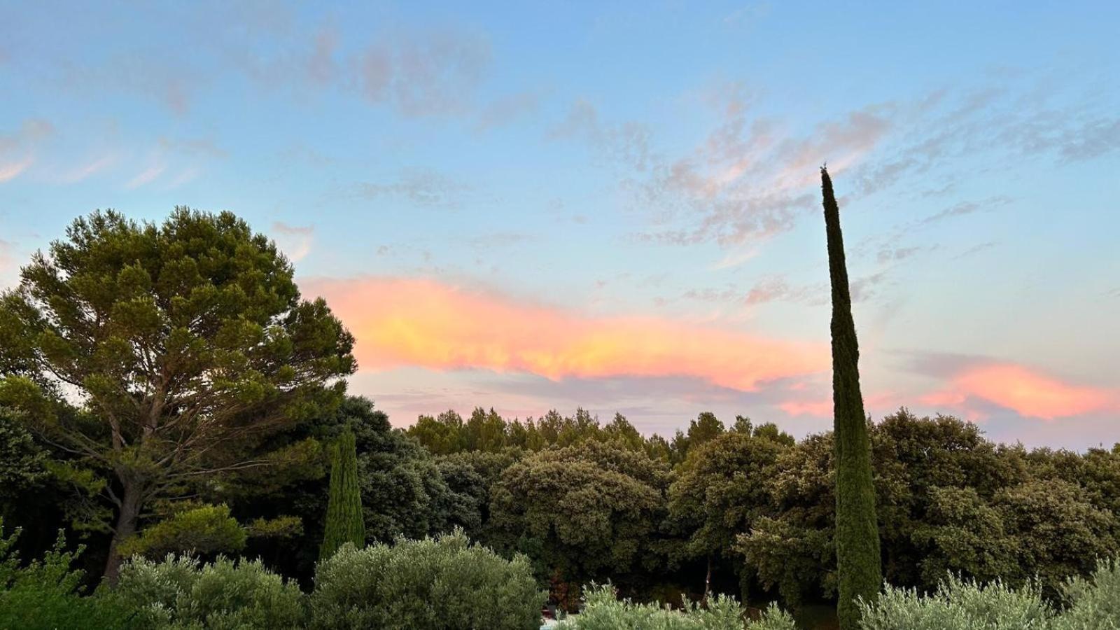 Отель Domaine Colibri En Provence Pujaut Экстерьер фото